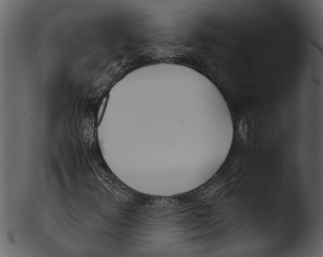 X0000103311348200809261327