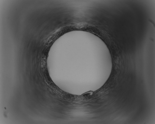 X0000103311349200809261327