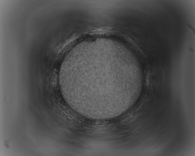 X0000103311350200809261327