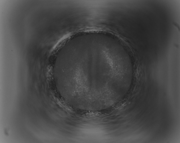 X0000103311351200809261327