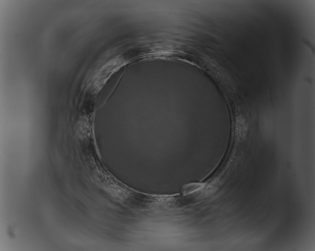 X0000103311353200809261327