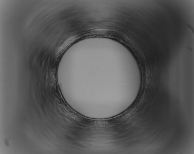 X0000103311354200809261327