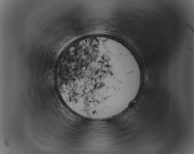 X0000103311356200809261327