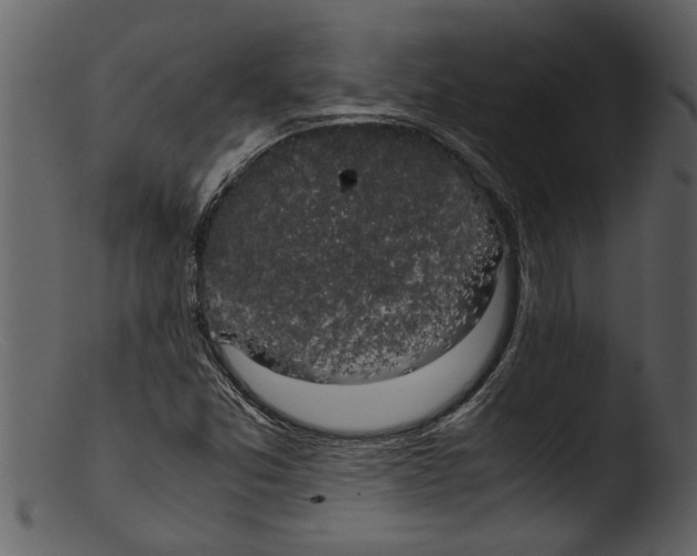 X0000103311357200809261327