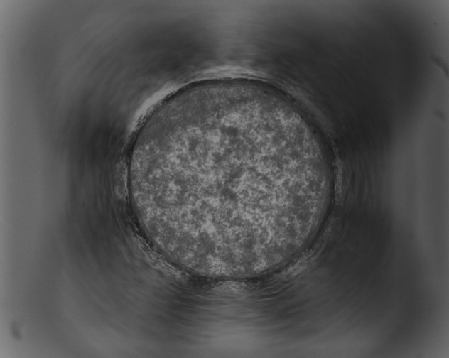 X0000103311358200809261327