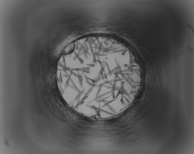X0000103311359200809261327