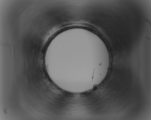 X0000103311360200809261327