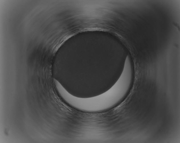 X0000103311361200809261327