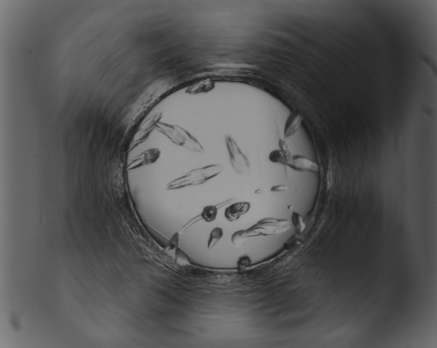 X0000103311362200809261327