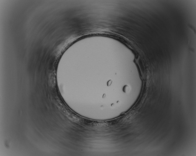 X0000103311363200809261327