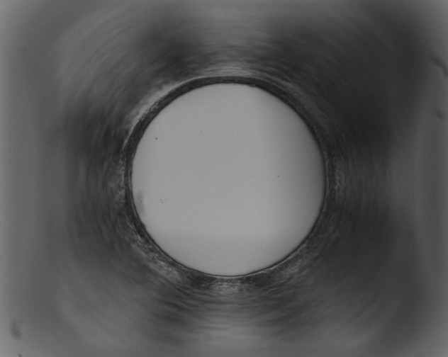 X0000103311364200809261327