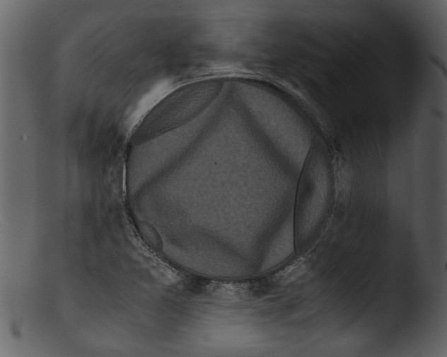 X0000103311365200809261327