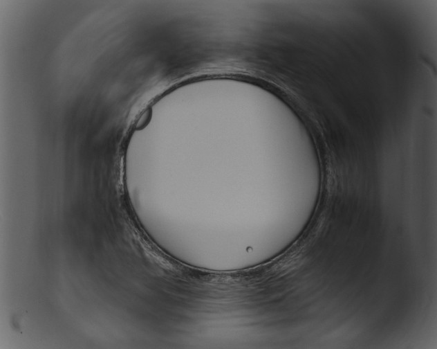 X0000103311366200809261327