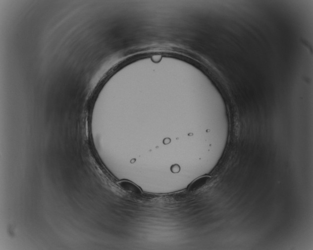 X0000103311368200809261327