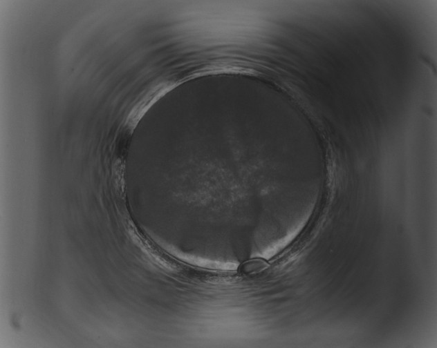 X0000103311369200809261327