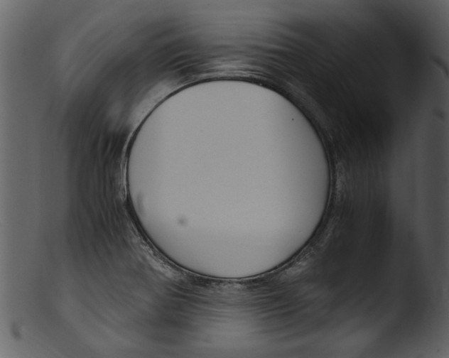 X0000103311370200809261327