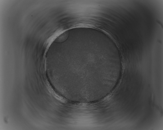 X0000103311371200809261327