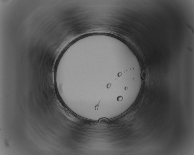 X0000103311372200809261327