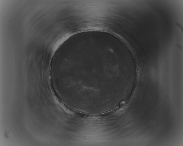 X0000103311373200809261327