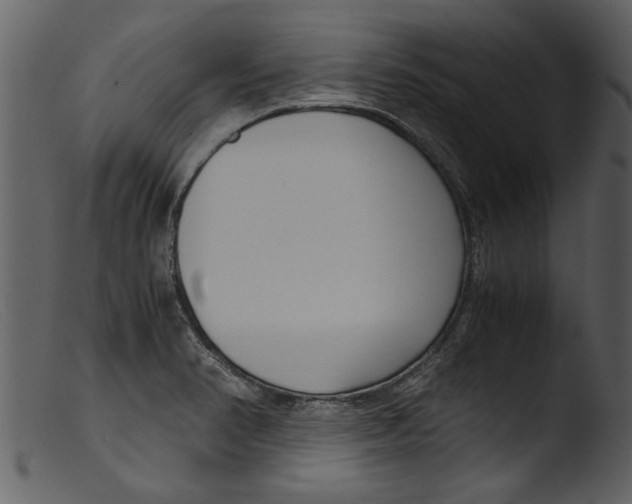 X0000103311374200809261327