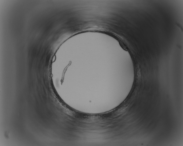 X0000103311375200809261327