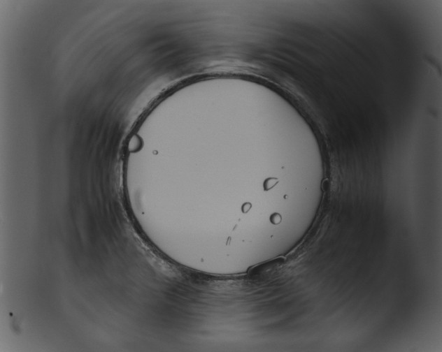 X0000103311376200809261327