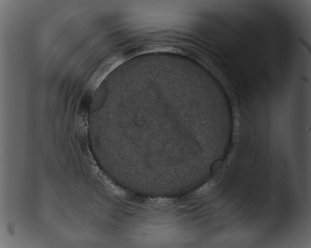 X0000103311377200809261327