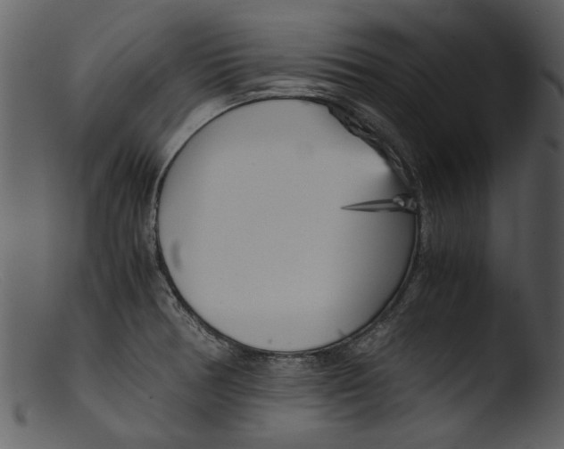 X0000103311378200809261327