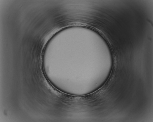 X0000103311379200809261327