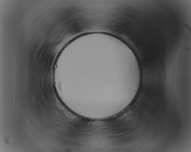 X0000103311380200809261327