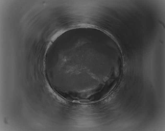 X0000103311381200809261327