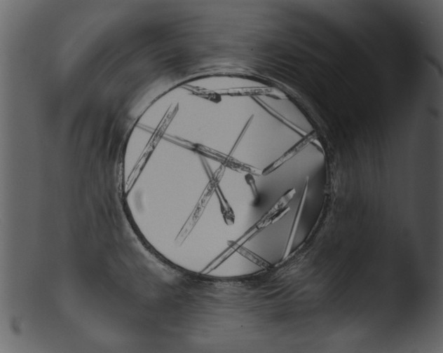 X0000103311383200809261327