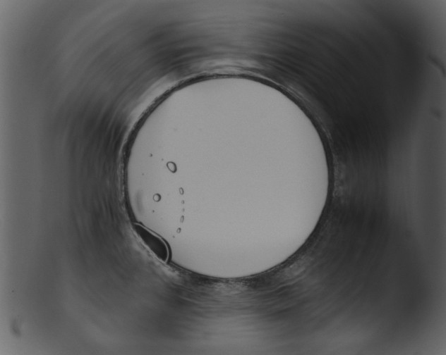 X0000103311384200809261327