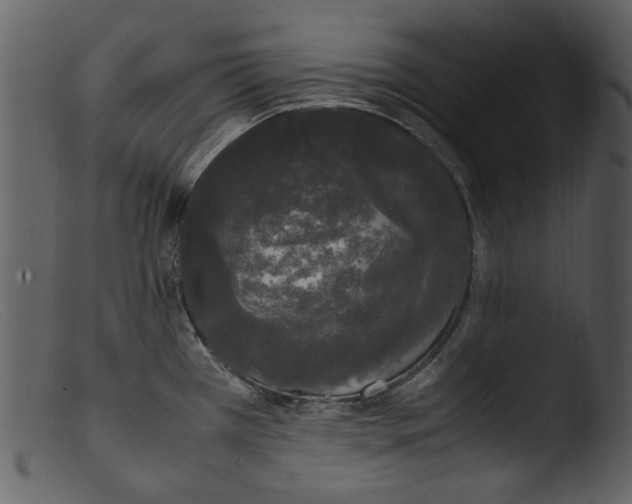 X0000103311385200809261327