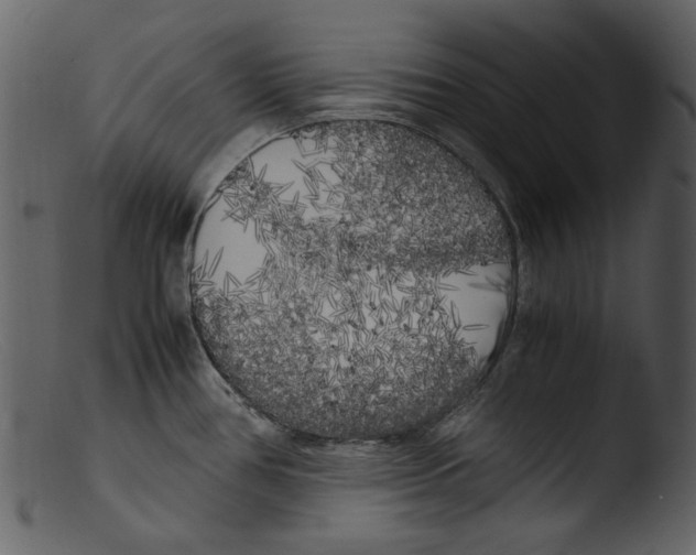 X0000103311386200809261327
