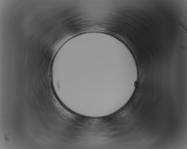 X0000103311387200809261327