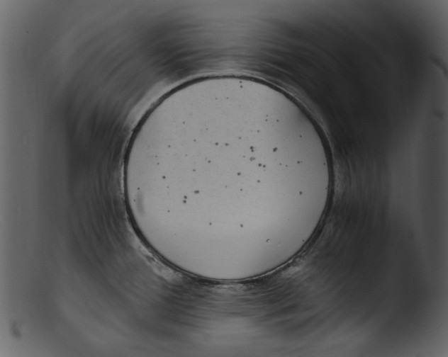 X0000103311388200809261327