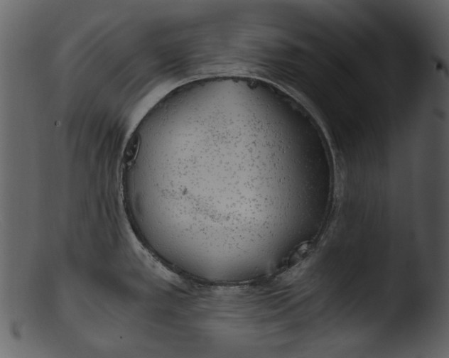 X0000103311389200809261326