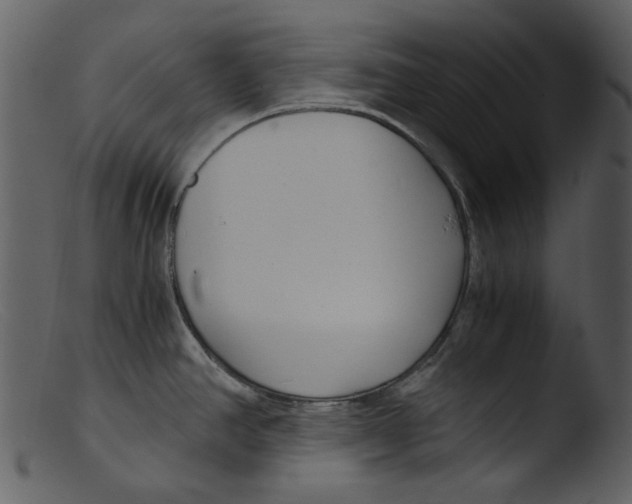 X0000103311390200809261326