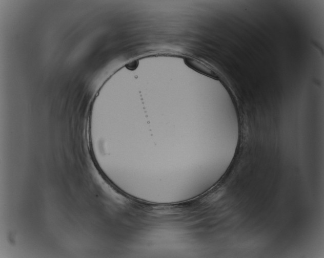 X0000103311391200809261326