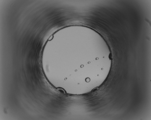 X0000103311392200809261326