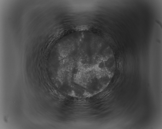 X0000103311393200809261326