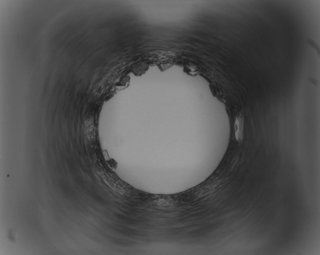 X0000103311395200809261326