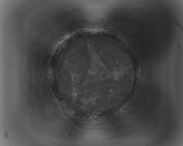 X0000103311398200809261326