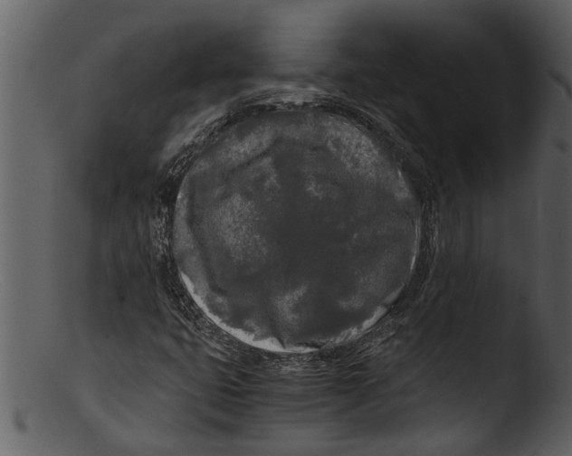 X0000103311399200809261326