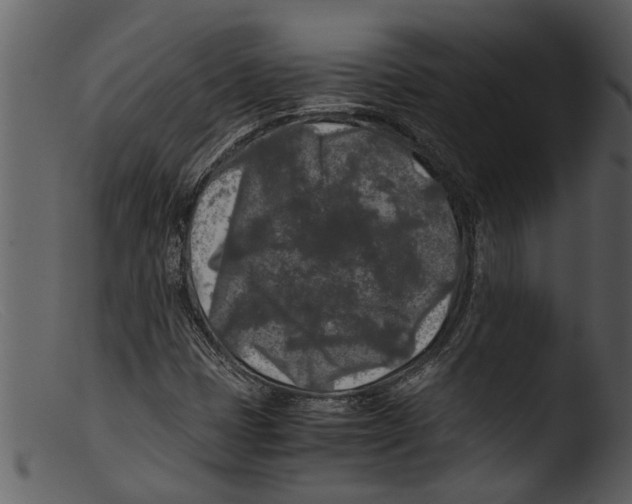 X0000103311401200809261326