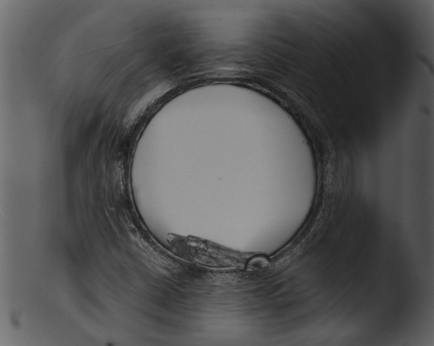 X0000103311402200809261326