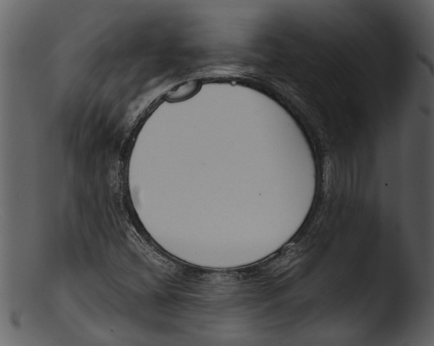 X0000103311404200809261326