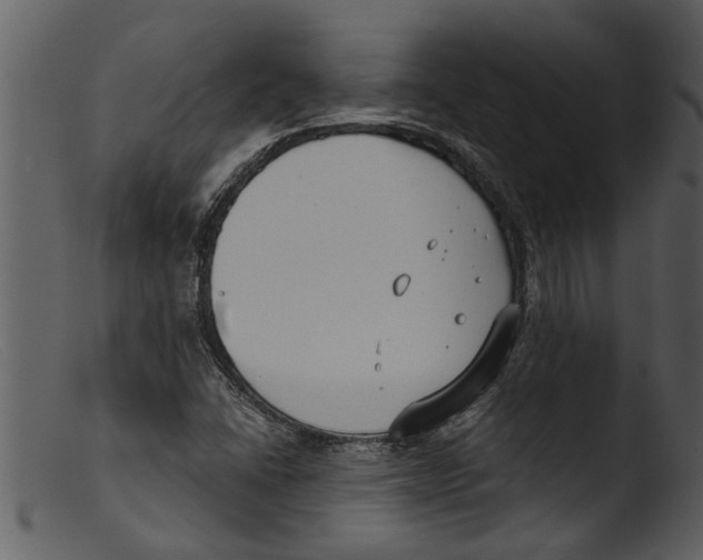 X0000103311406200809261326