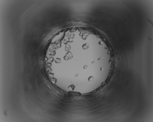X0000103311407200809261326